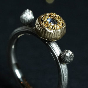 Žiedas "Auksinės Smilgos"